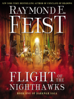 Flight_of_the_Nighthawks